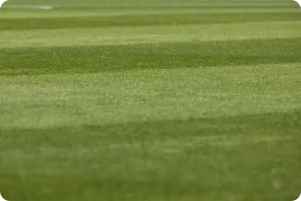 이강인 나폴리 이적