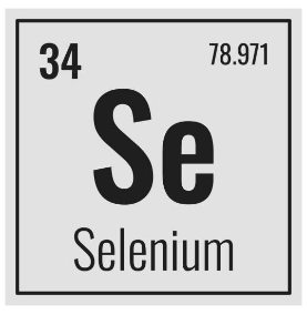 셀레늄(Selenium)