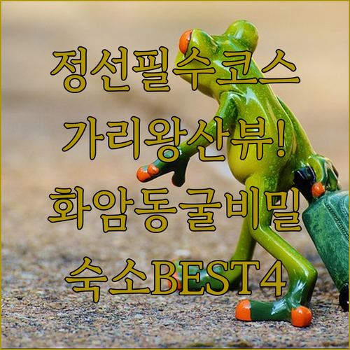 정선 가볼만한곳 몰운대 화암동굴 가리..