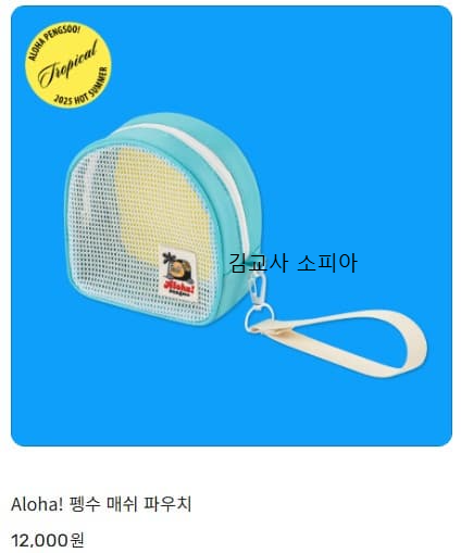 🎉 2025 여름 기획상품 'Aloha pengsoo! 🐧🌴' 출시!