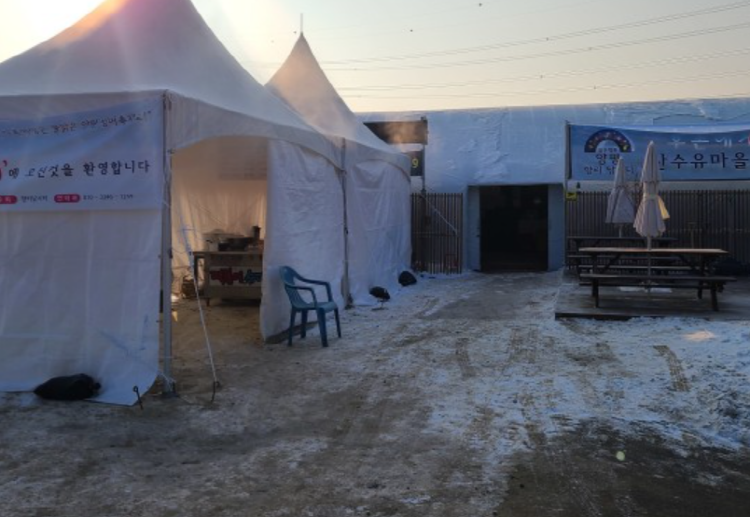 양평 산수유마을 빙어축제