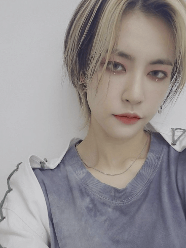 공원소녀 미야와키 사쿠라