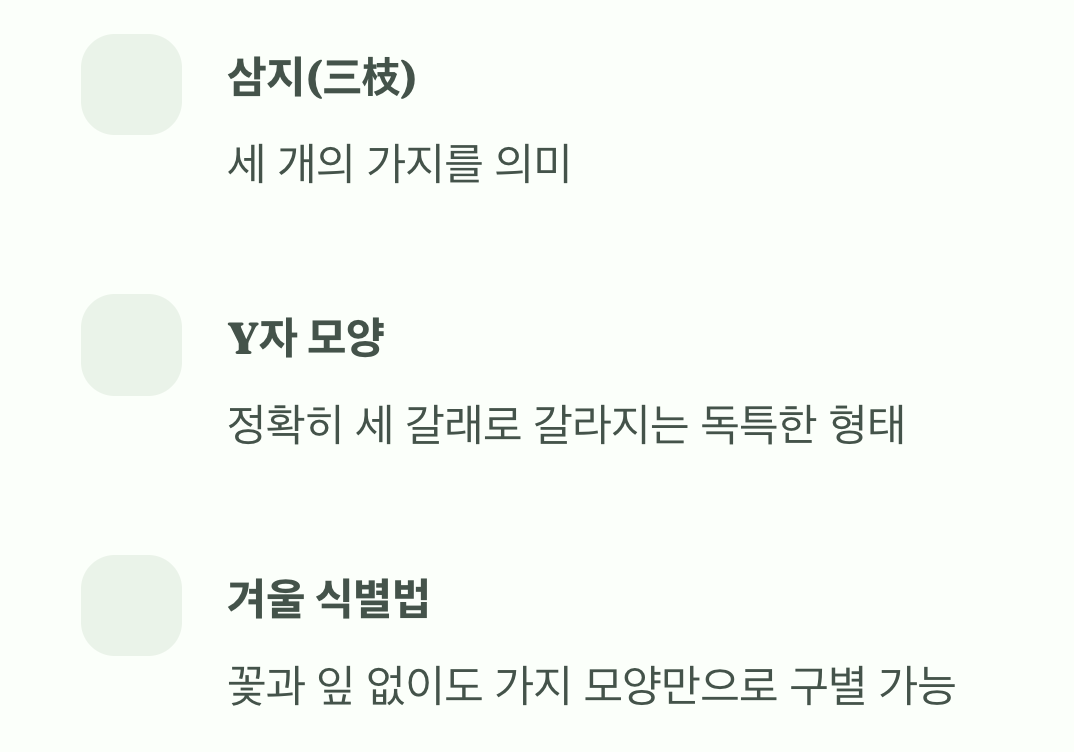 이름이 곧 신분증, 세 갈래로 갈라지는 가지