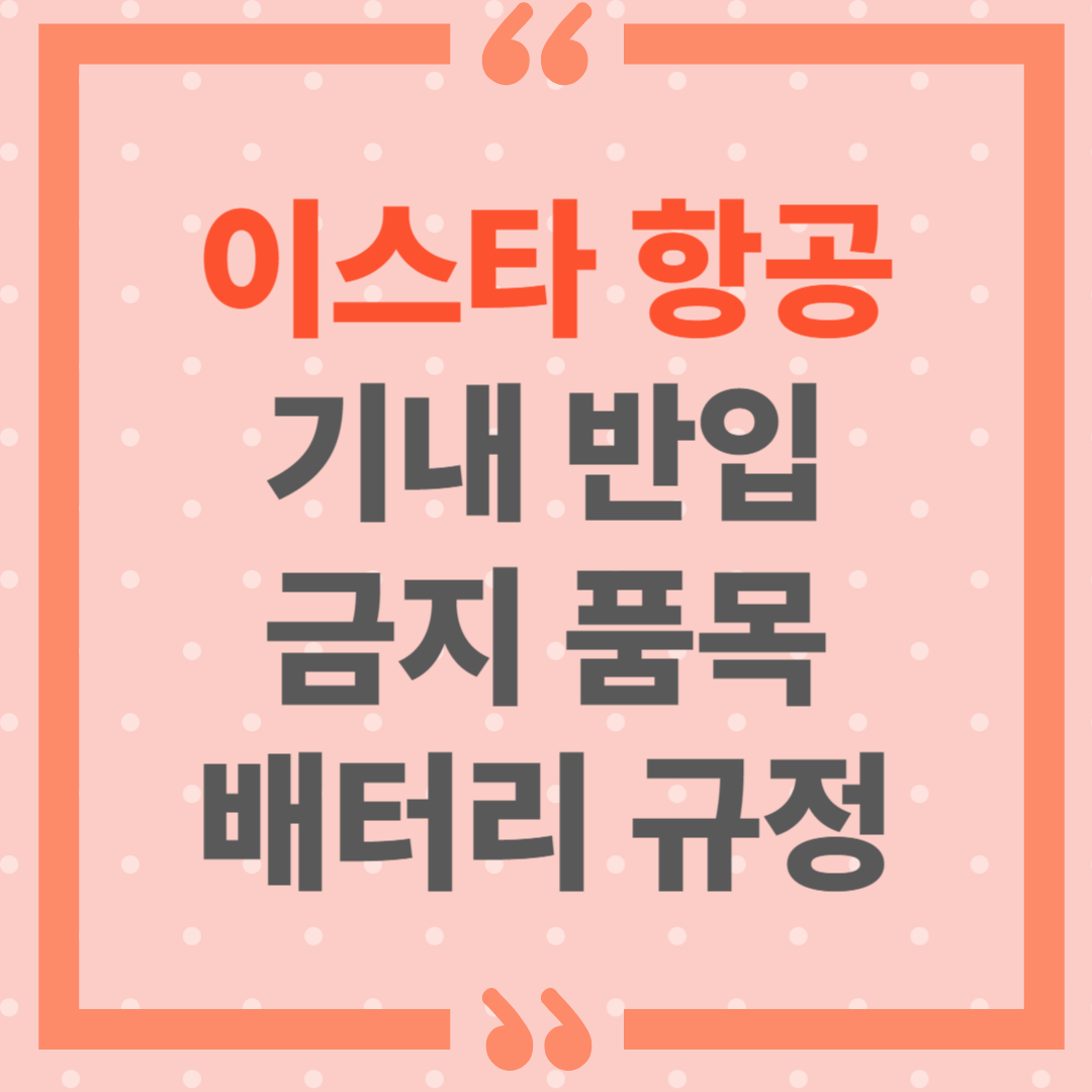 이스타 항공 기내 반입 금지품목 종류