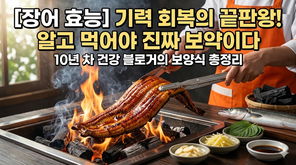 장어 효능