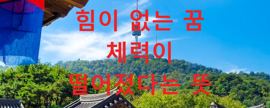 꿈과건강