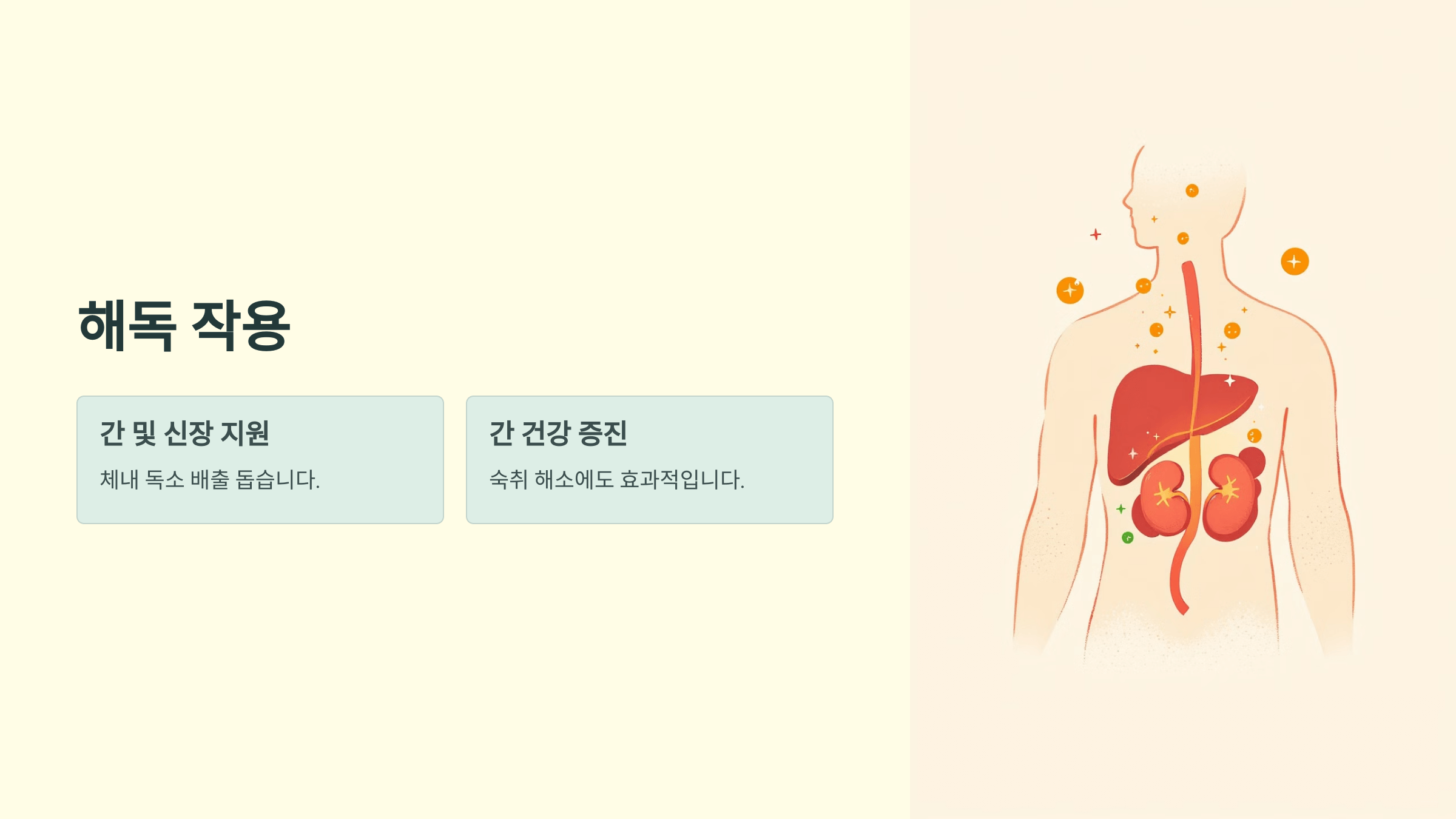 황기와 관련된 사진입니다.