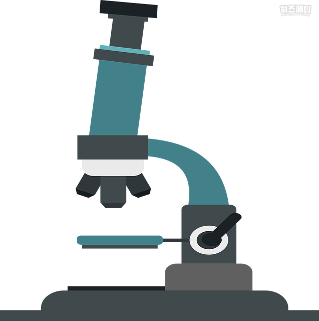 빈혈 수치 정상범위