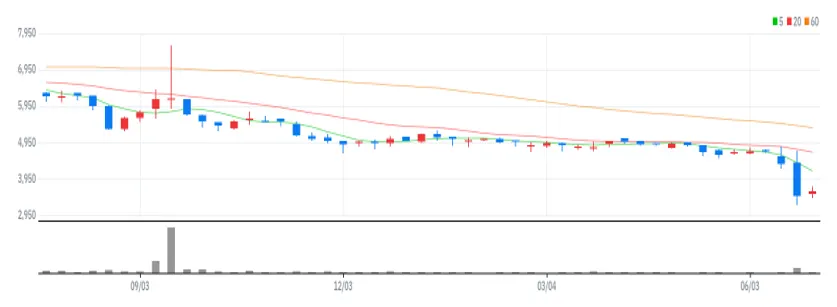 핸즈코퍼레이션 주봉