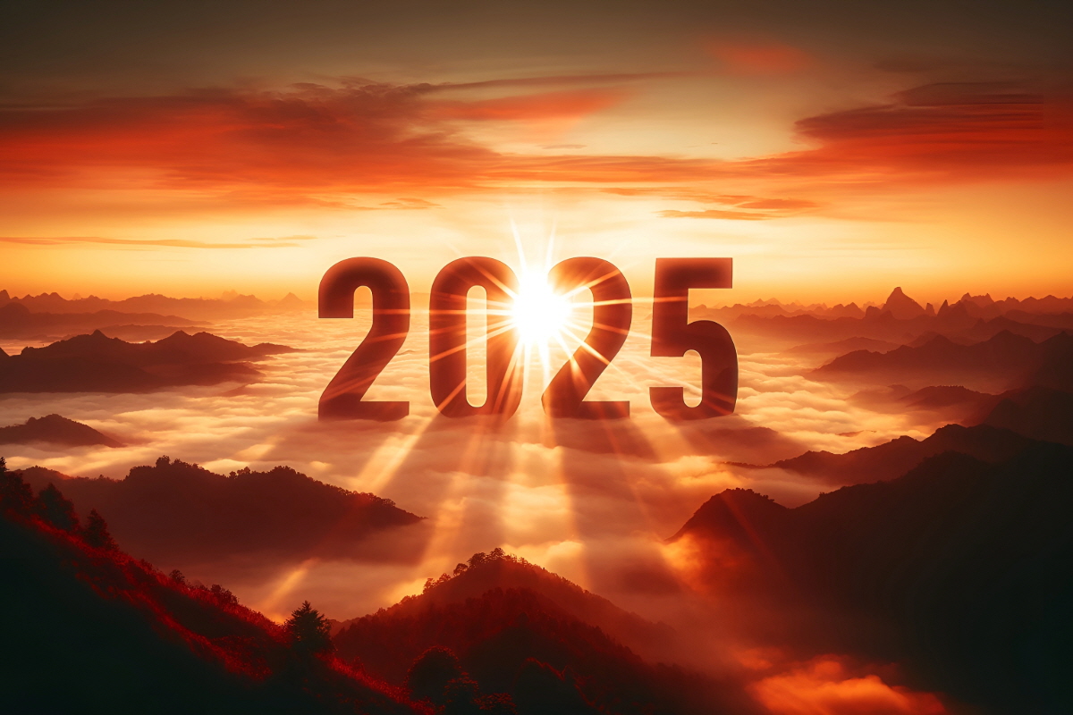 2025년 삼재띠