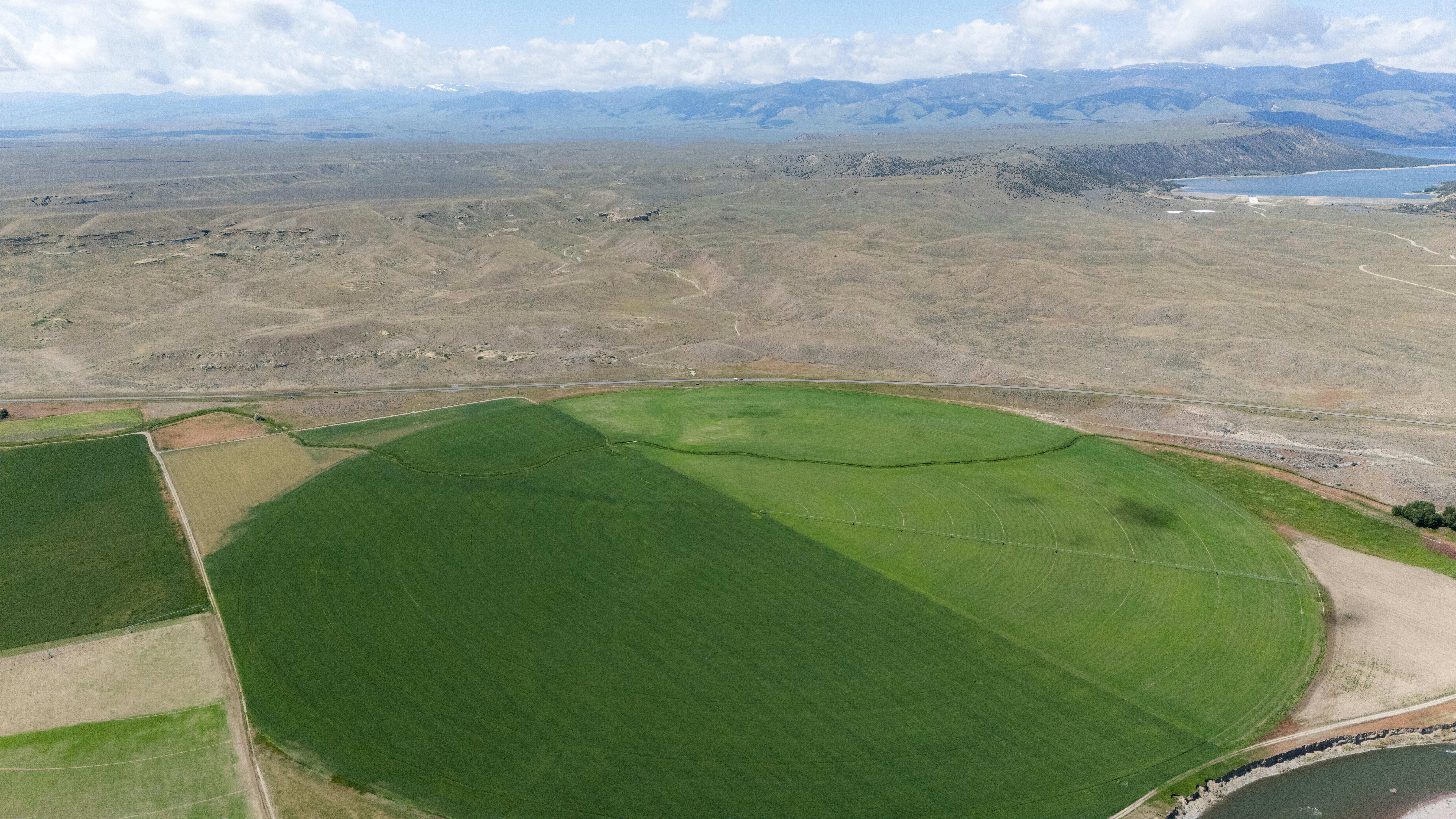 공유자우선매수권