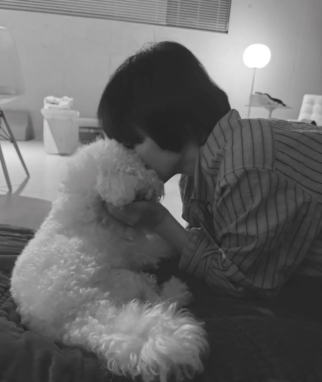 광복절80주년, 송혜교 서경덕, 멕시코독립운동, 독립운동스타, 차주영, 류승룡, 김남길, 의미있는기부, 송혜교 서경덕과 독립운동 알리기, 역사기부, 광복절프로젝트, 해외한인역사, 독립운동유산, 멕시코한인사회