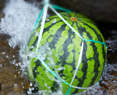 여름수박 냉장고 보관 꿀팁