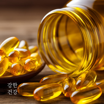 파비플로라 복용법