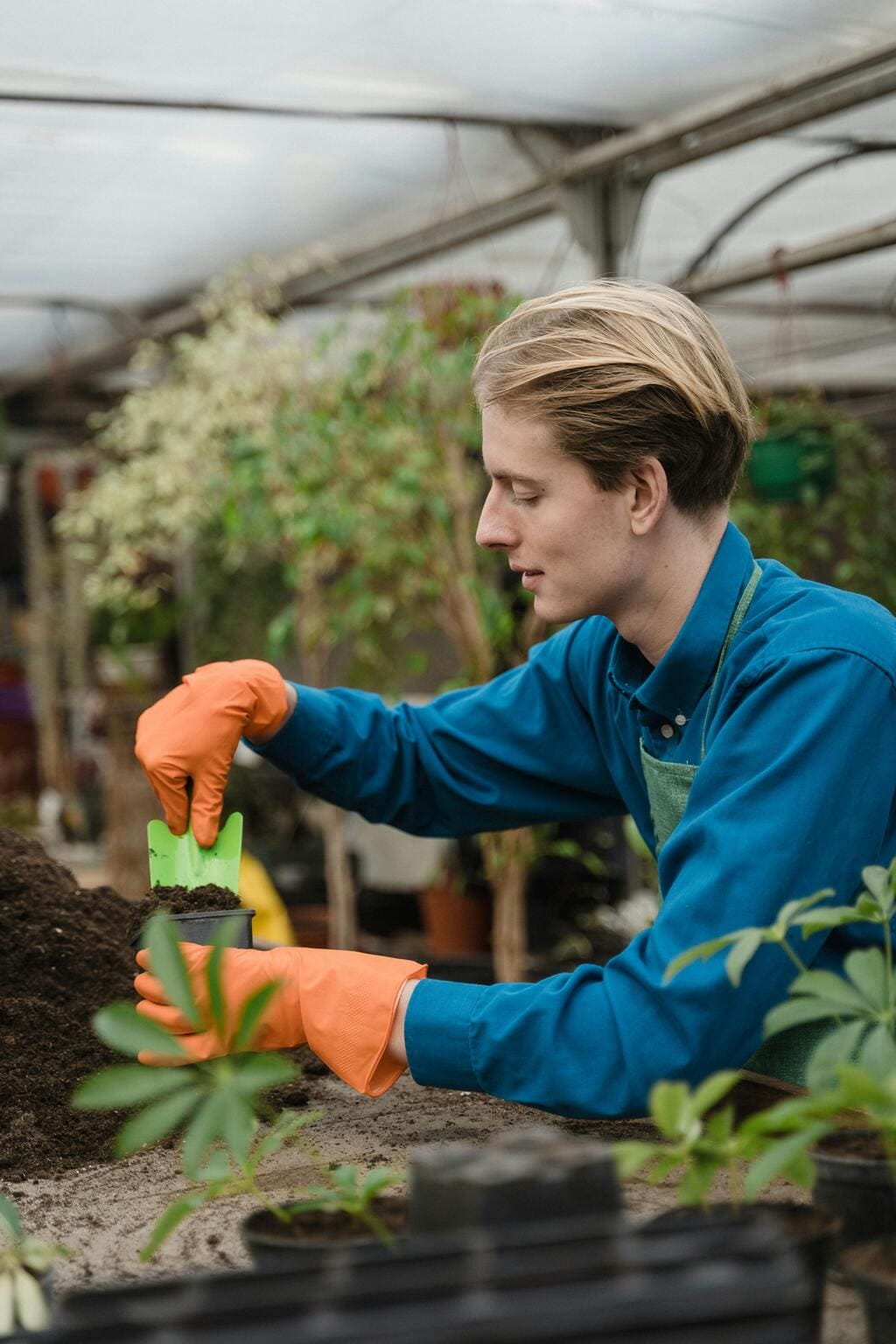 근로장려금 지급일 확인하고 신청하는 법