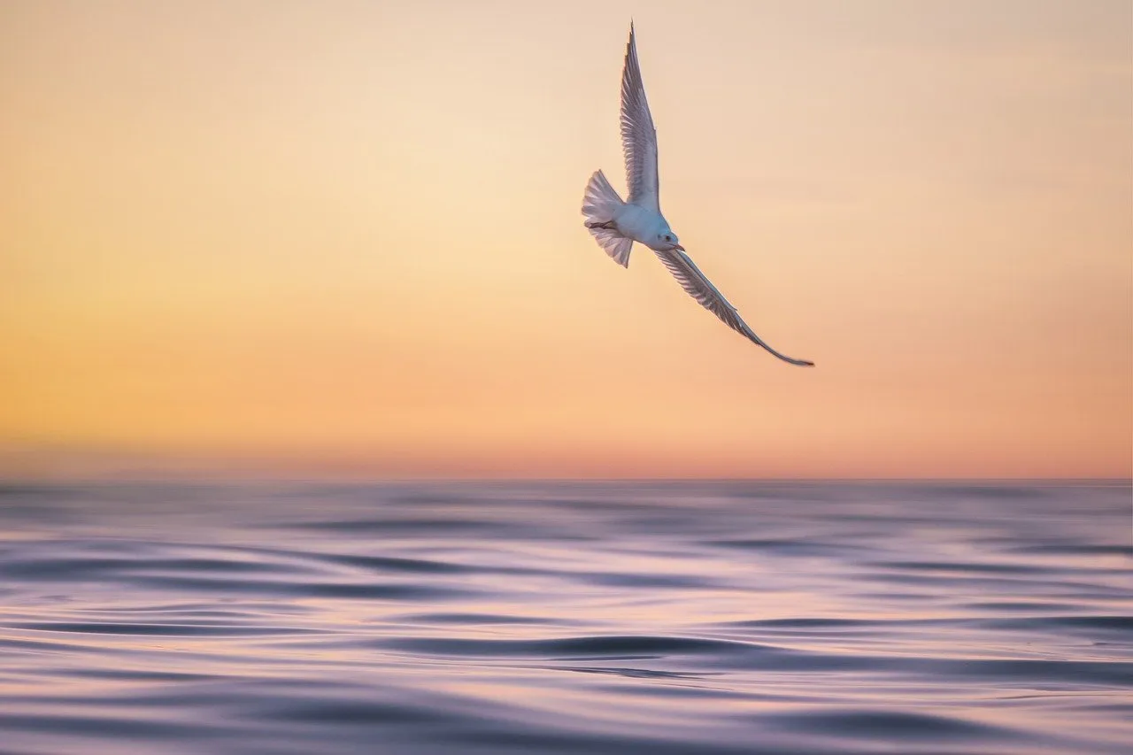 지게차운전기능사 필기