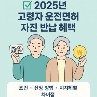 운전면허 반납 혜택 교통비 지원 대체교통 안전 이동법_15