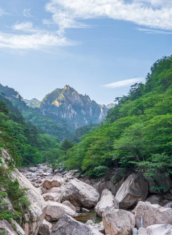 설악산 단풍 절정시기 2024년 예상일정과 교통편 정보_13