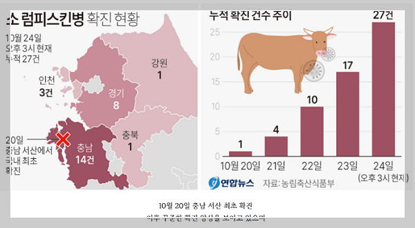 소 럼피스킨병 확진 현황