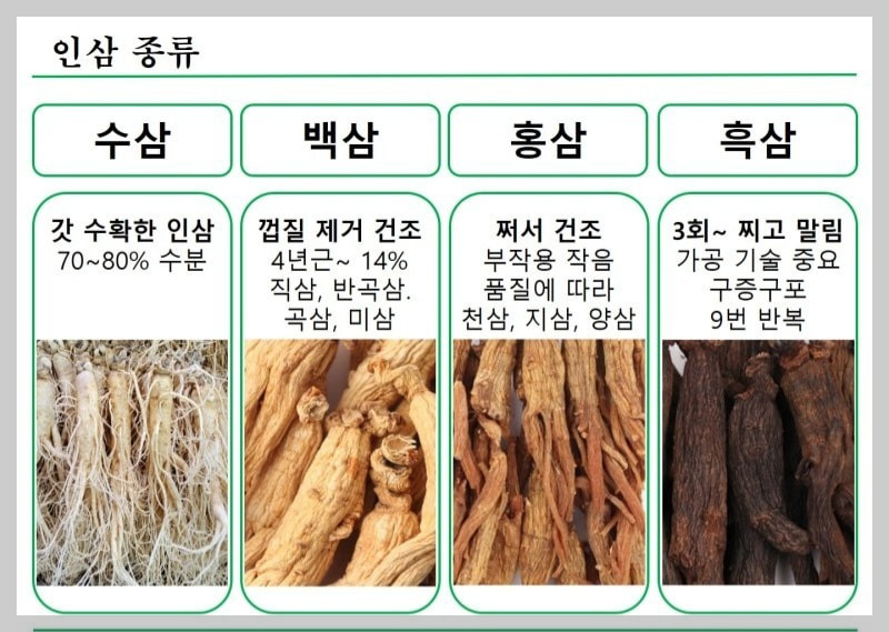 처리방법에 따른 인삼 구분