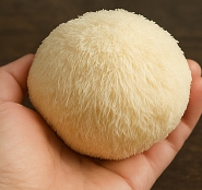 노루궁뎅이버섯 먹는법