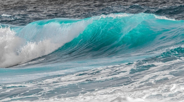 2025 양양 서핑 명소 추천, 서핑 초보자 필수 코스