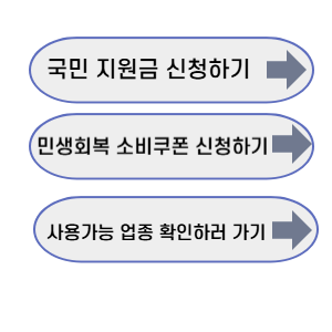 국민지원금