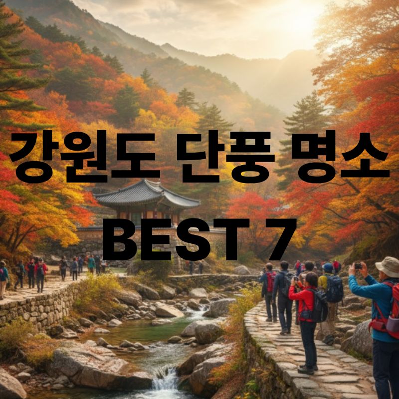 2025 강원도 단풍 명소 BEST 7｜가을 절정 시기&middot;여행코스 총정리 관련이미지