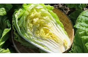 절임배추 마트비교