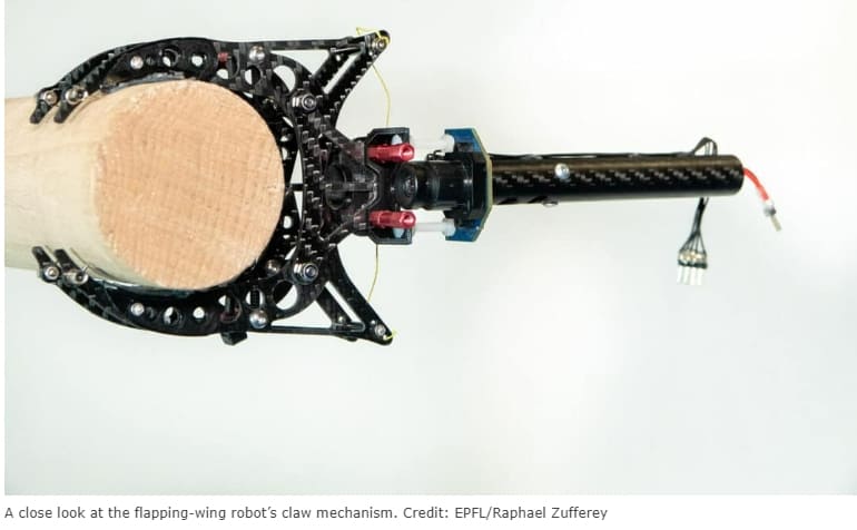 EPFL, 새처럼 자율적으로 착륙하는 윙 로봇 개발 VIDEO:Fully Autonomous Outdoor Flight of Flapping Wing Robot