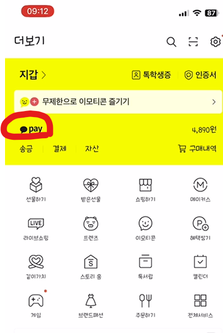 카카오페이