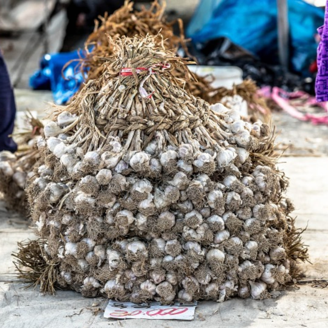 마늘 시세 확인방법