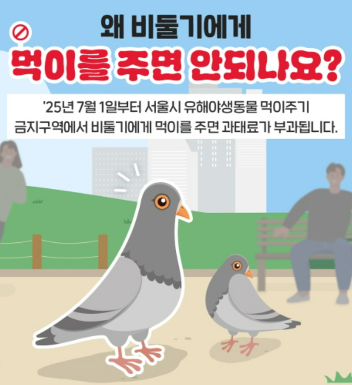 서울시 비둘기 먹이주기 금지