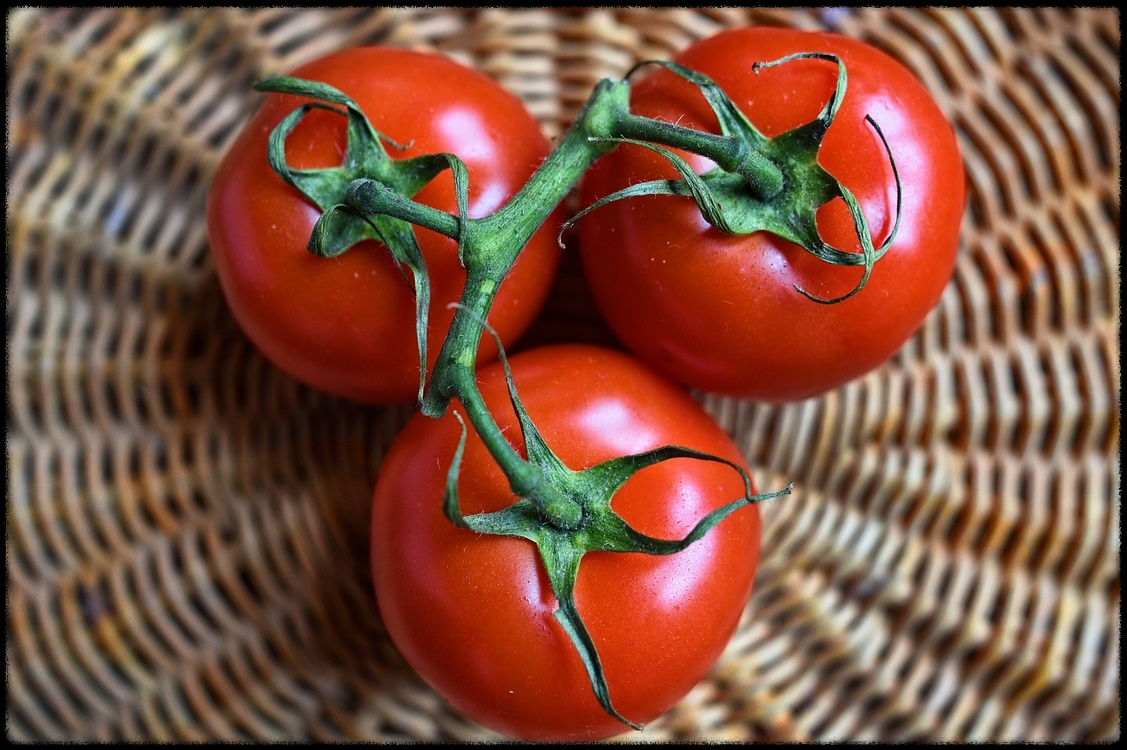 토마토 관련 이미지8