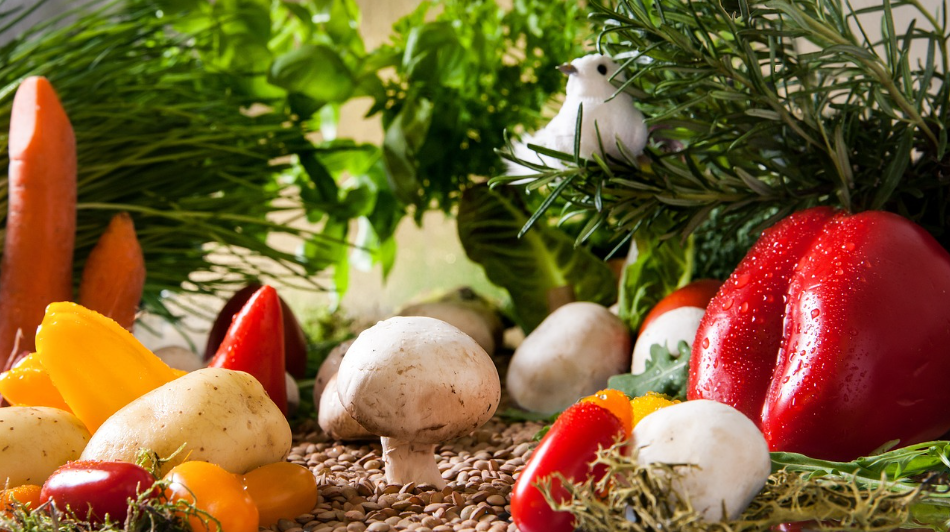 장이 건강해야 면역력이 높아진다! 항염 장 건강 관리법