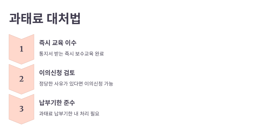 미이수 시 과태료 기준 및 대처법