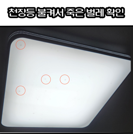 벌레-많은지-확인하는-방법