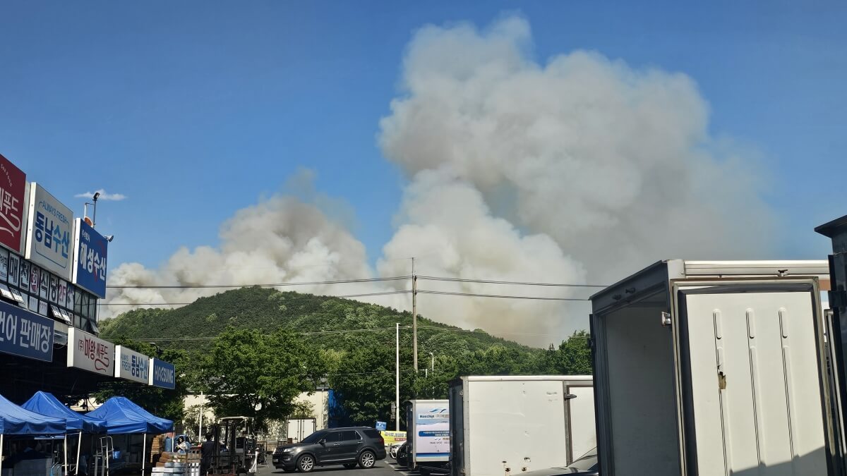 대구북구 함지산 산불, 대응 2단계 발령…민가까지 확산