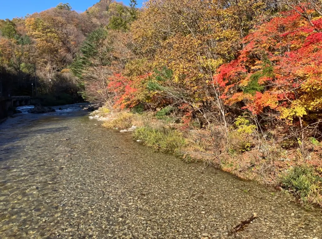 예쁜 단풍 구경하기 좋은 곳, 단풍 시작 시기, 절정시기
