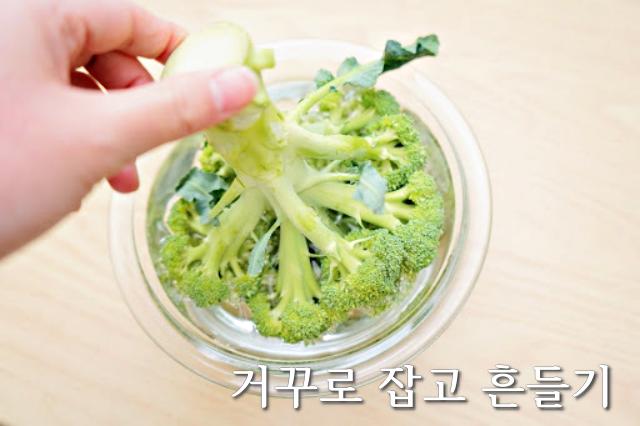 브로콜리 세척,브로콜리 씻는법,브로콜리 씻는방법,팁줌