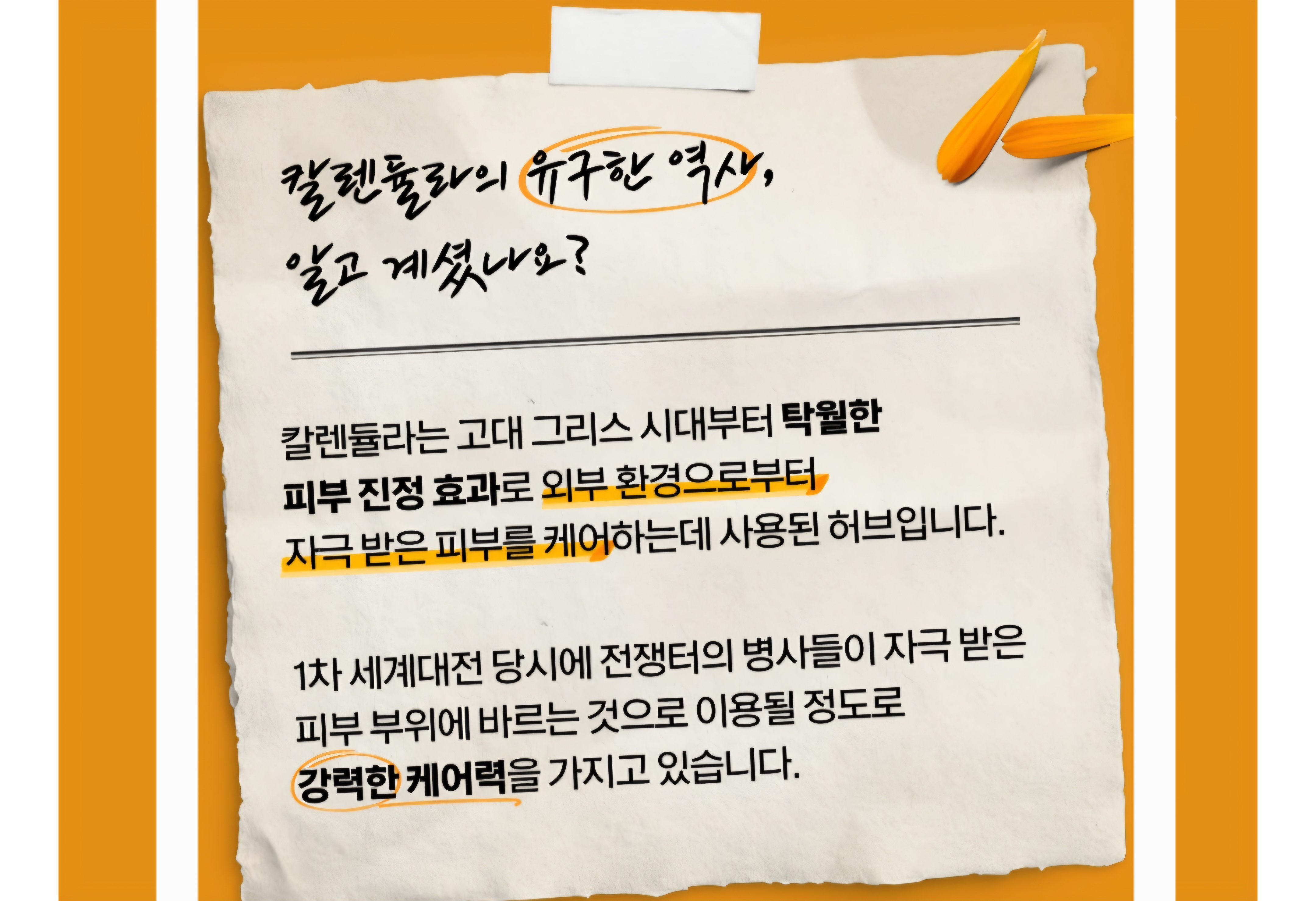 키엘 칼렌듈라 꽃잎 토너 칼렌듈라 특징