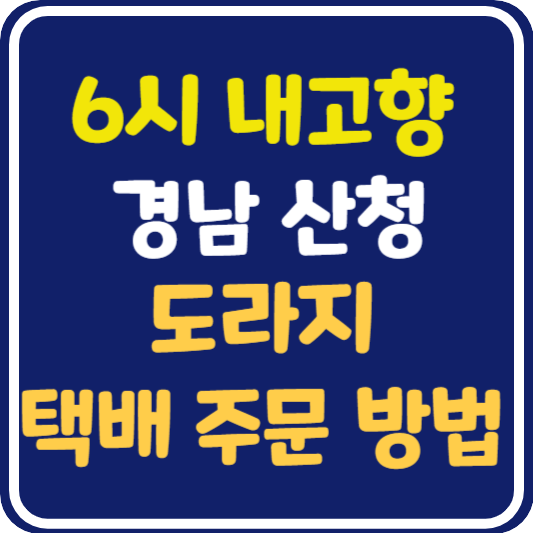 6시 내고향 산청 도라지 택배 주문 방법