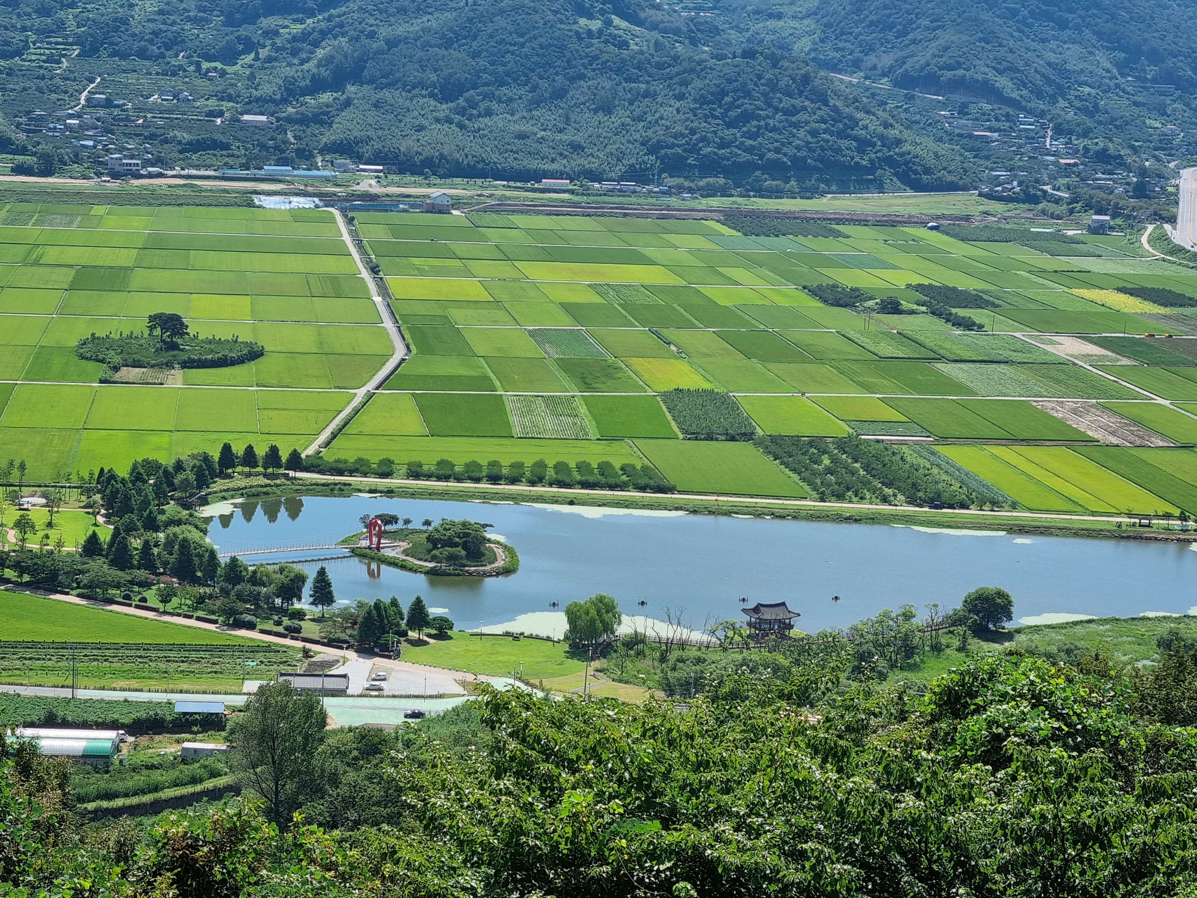 평사리 들판 사진 ('23.9)