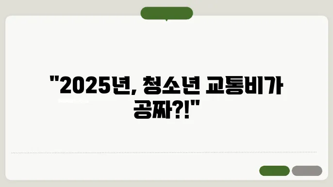2025년 청소년 교통비 지원 정책, 어떻게 신청하나요?