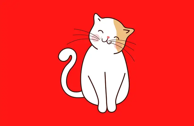건강한 고양이 식단 관리