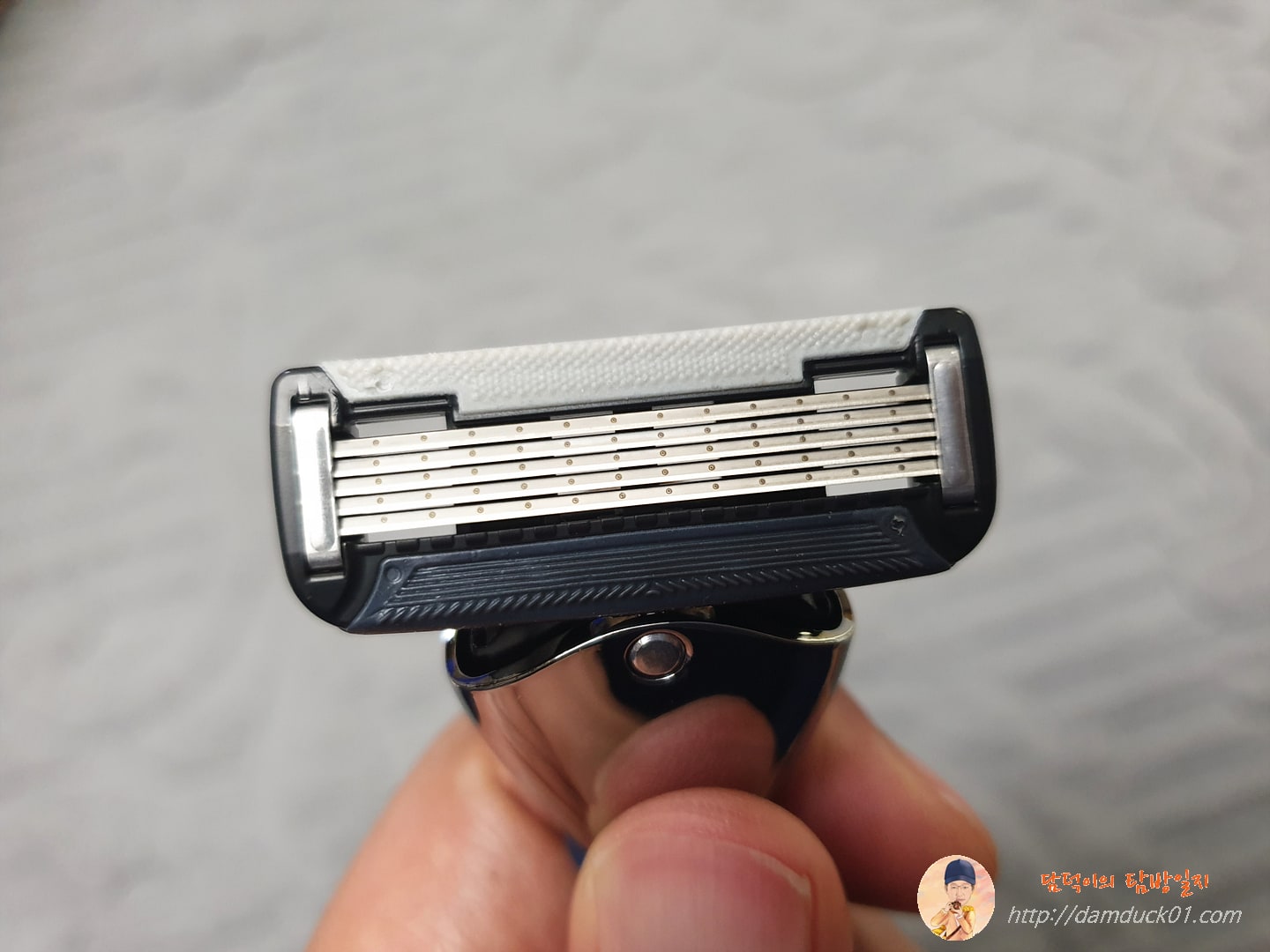 와이즐리 PRO 면도날