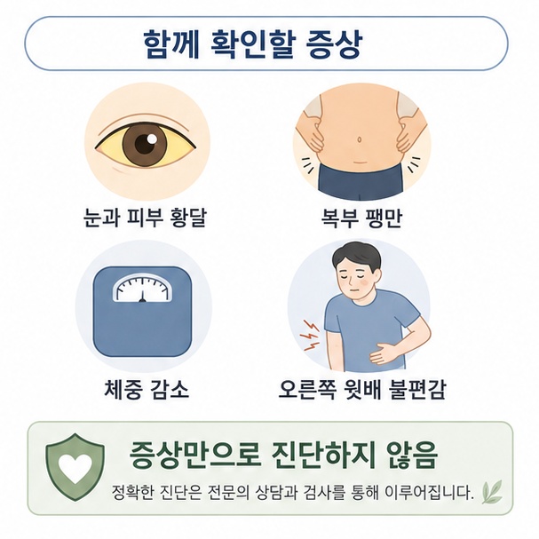 황달과 복부 팽만, 체중 감소, 오른쪽 윗배 불편감 등 간암이나 간질환에서 함께 확인할 증상을 보여주는 이미지
