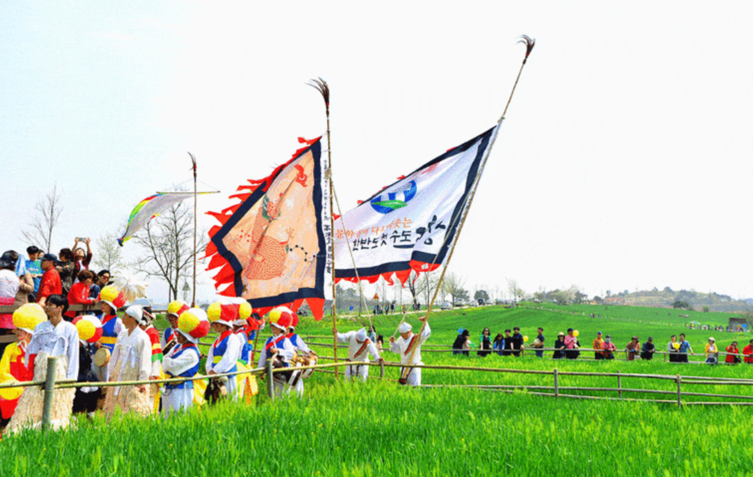 고창-청보리밭-축제