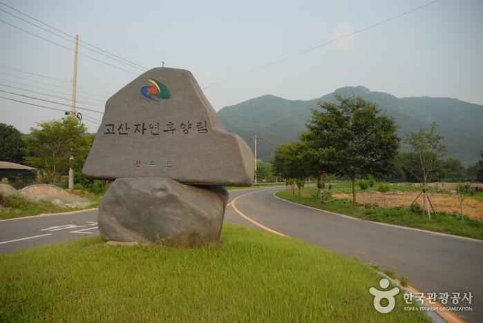 고산자연휴양림