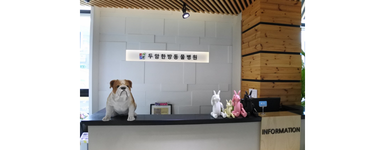 서울 양천구 동물병원